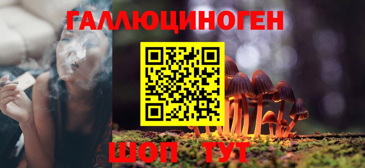 где продают наркотики  Псилоцибиновые грибы Psilocybine cubensis  Вход с VPN  Кострома 