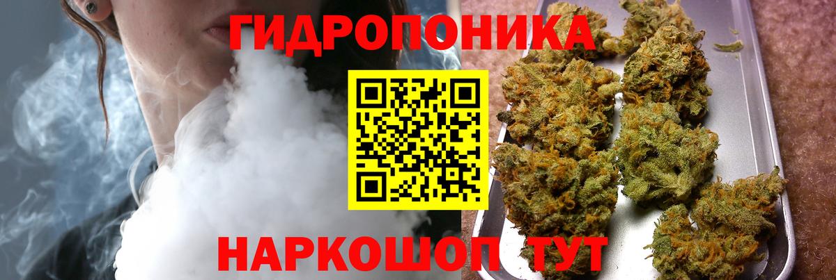 Конопля Amnesia  Вход с VPN  Конопля тримм  МАРИХУАНА Amnesia  Кострома  Бошки марихуана Bruce Banner 